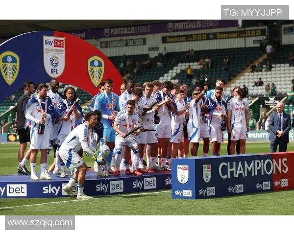 邓弗里斯意甲复出助球队重回巅峰状态展现强大实力